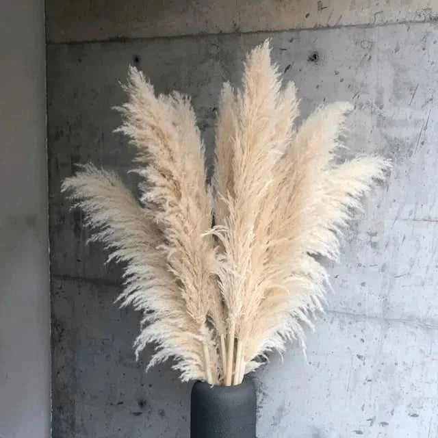 Pampas Grass Stems Artificial Dried 65cm | Boho Home Decor