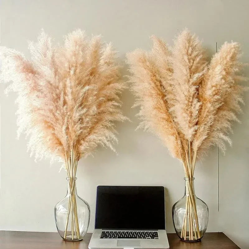 Pampas Grass Stems Artificial Dried 65cm | Boho Home Decor