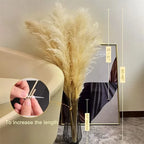 Pampas Grass Stems Artificial Dried 65cm | Boho Home Decor