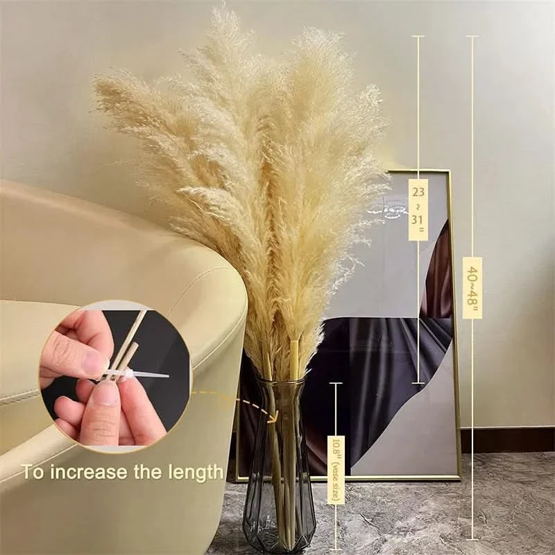 Pampas Grass Stems Artificial Dried 65cm | Boho Home Decor