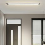 Oval ceiling light flush mount in metal and acrylic, modern indoor LED design