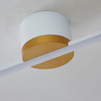 Flush mount ceiling light linear LED for bedroom and living room, sleek metal and silicone gel design