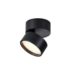 Flush mount ceiling light modern adjustable LED aluminum, black and white