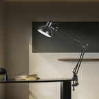 Adjustable LED table lamp with clip-on base and flexible arm, minimalist metal design