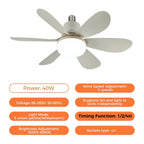 Socket Fan Ceiling Fan with Light | LED, Remote Control, E27/B22