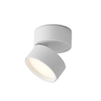 Flush mount ceiling light modern adjustable LED aluminum, black and white