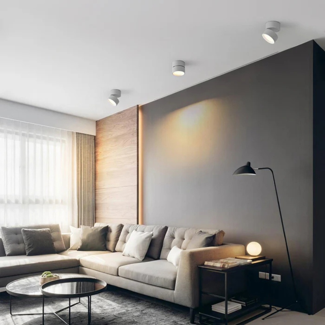 Flush mount ceiling light modern adjustable LED aluminum, black and white