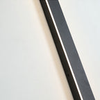 Linear LED outdoor wall lamp black IP65, minimalist design for garden and corridor