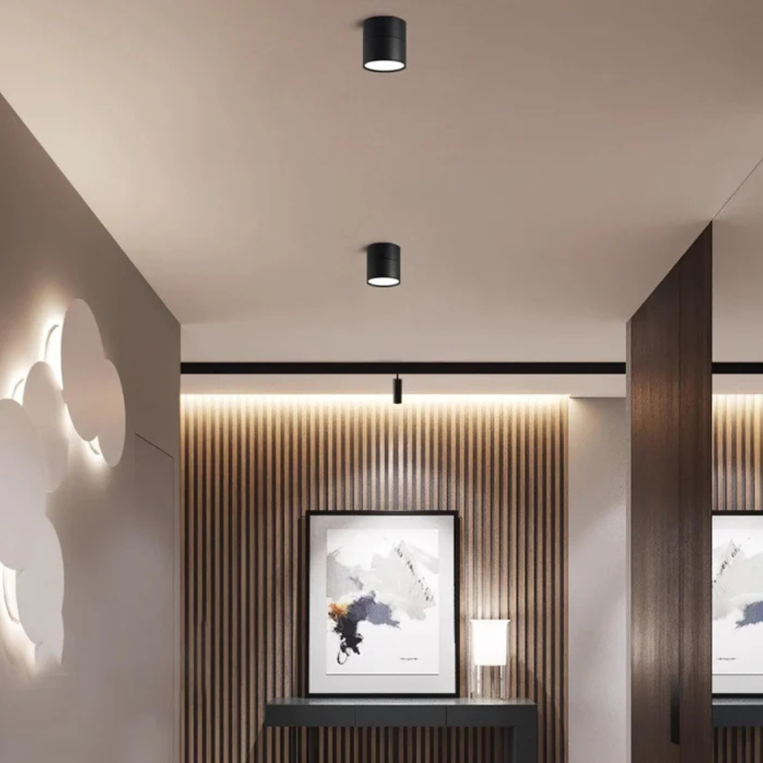Flush mount ceiling light modern adjustable LED aluminum, black and white