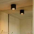 Flush mount ceiling light modern metal dimmable LED matte finish, aluminum
