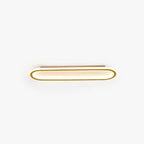 LED ceiling light minimalist elliptical metal acrylic in black, gold, rose gold flush mount