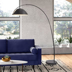 Black metal fishing rod arc floor lamp, modern standing light for living room