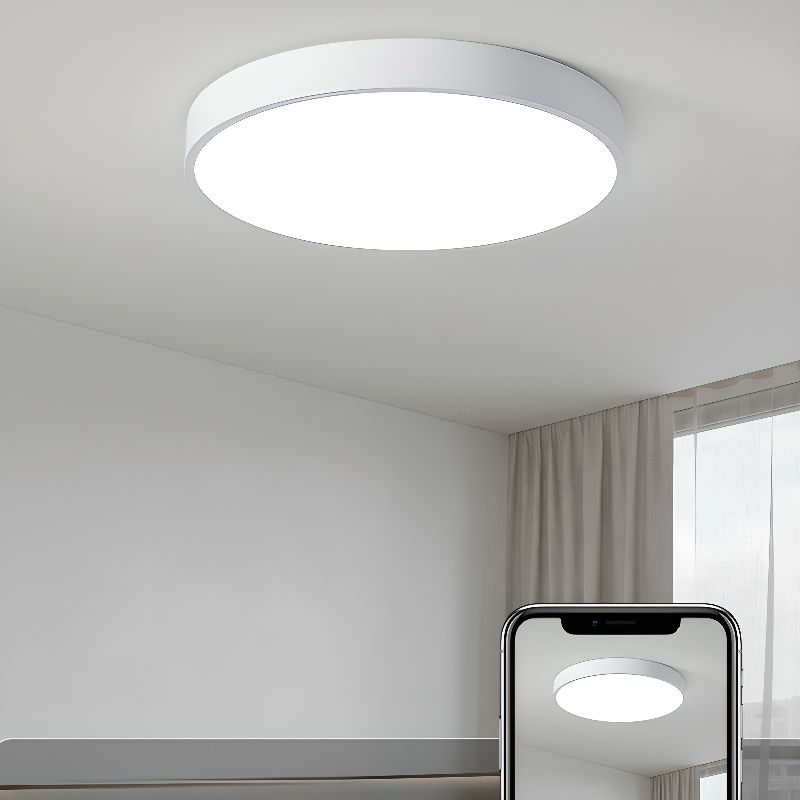LED Ceiling Light Round Flush Mount | Iron &, Multi-Size | Galia
