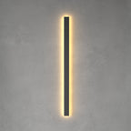 Linear outdoor wall light LED strip IP65 matte black, dual side-facing illumination facade