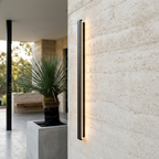 Linear outdoor wall light LED strip IP65 matte black, dual side-facing illumination facade