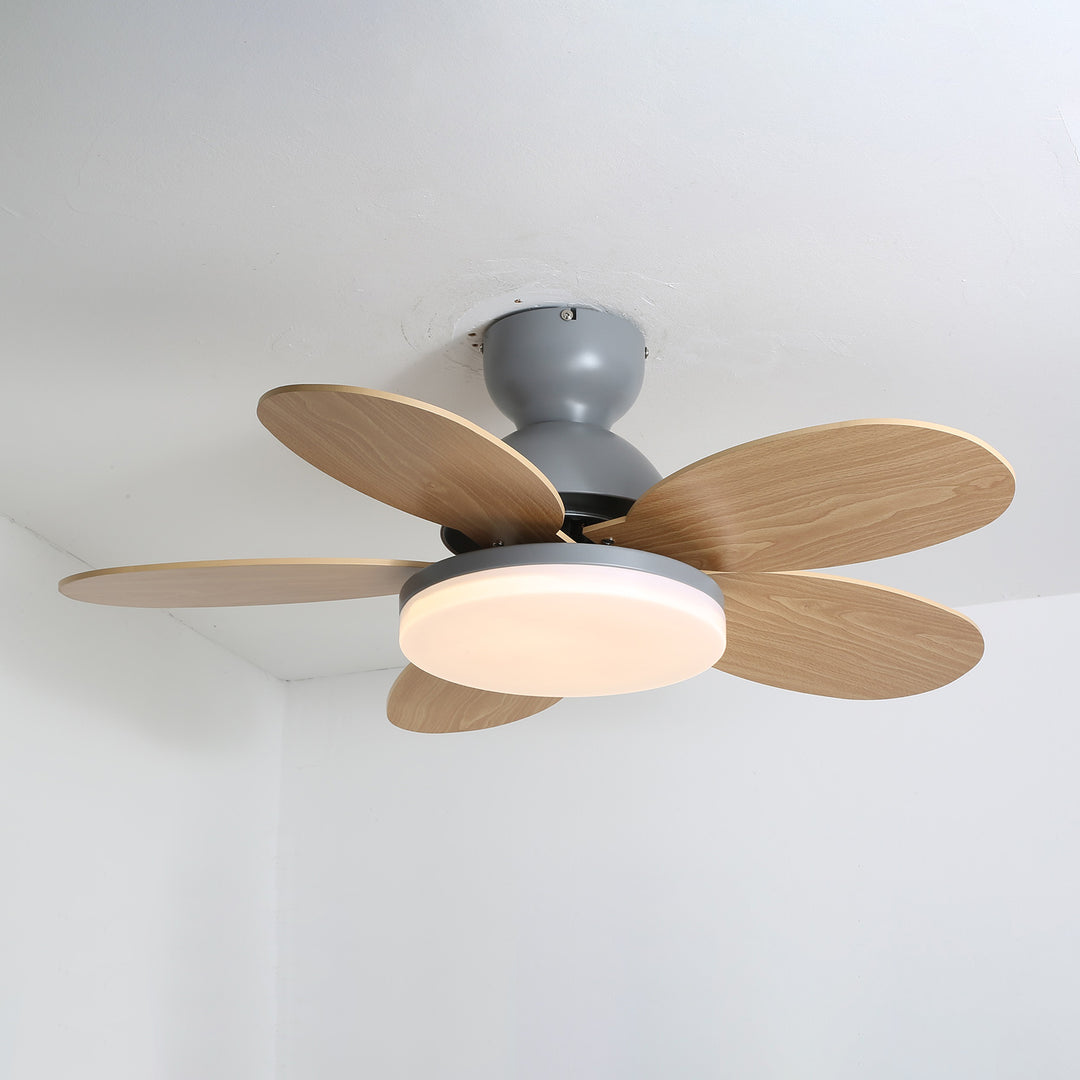 DC ceiling fan with LED light petal-shaped acrylic 6-blade Nordic design