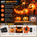 LED String Lights Halloween Party Decoration, Fabric Lampshade