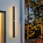 Linear LED outdoor wall lamp black IP65, minimalist design for garden and corridor