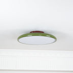 Adjustable flush mount ceiling light dimmable modern minimalist design for bedroom and living room