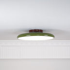 Adjustable flush mount ceiling light dimmable modern minimalist design for bedroom and living room