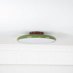 Adjustable flush mount ceiling light dimmable modern minimalist design for bedroom and living room