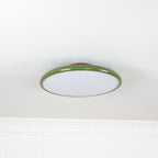 Adjustable flush mount ceiling light dimmable modern minimalist design for bedroom and living room