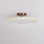 Adjustable flush mount ceiling light dimmable modern minimalist design for bedroom and living room