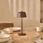 Rechargeable cordless table lamps 4-pack with magnetic charging station, mocha brown, dimmable