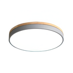 Flush Mount Ceiling Light LED Round | Diffuser, Nordic Style