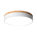Flush Mount Ceiling Light LED Round | Diffuser, Nordic Style