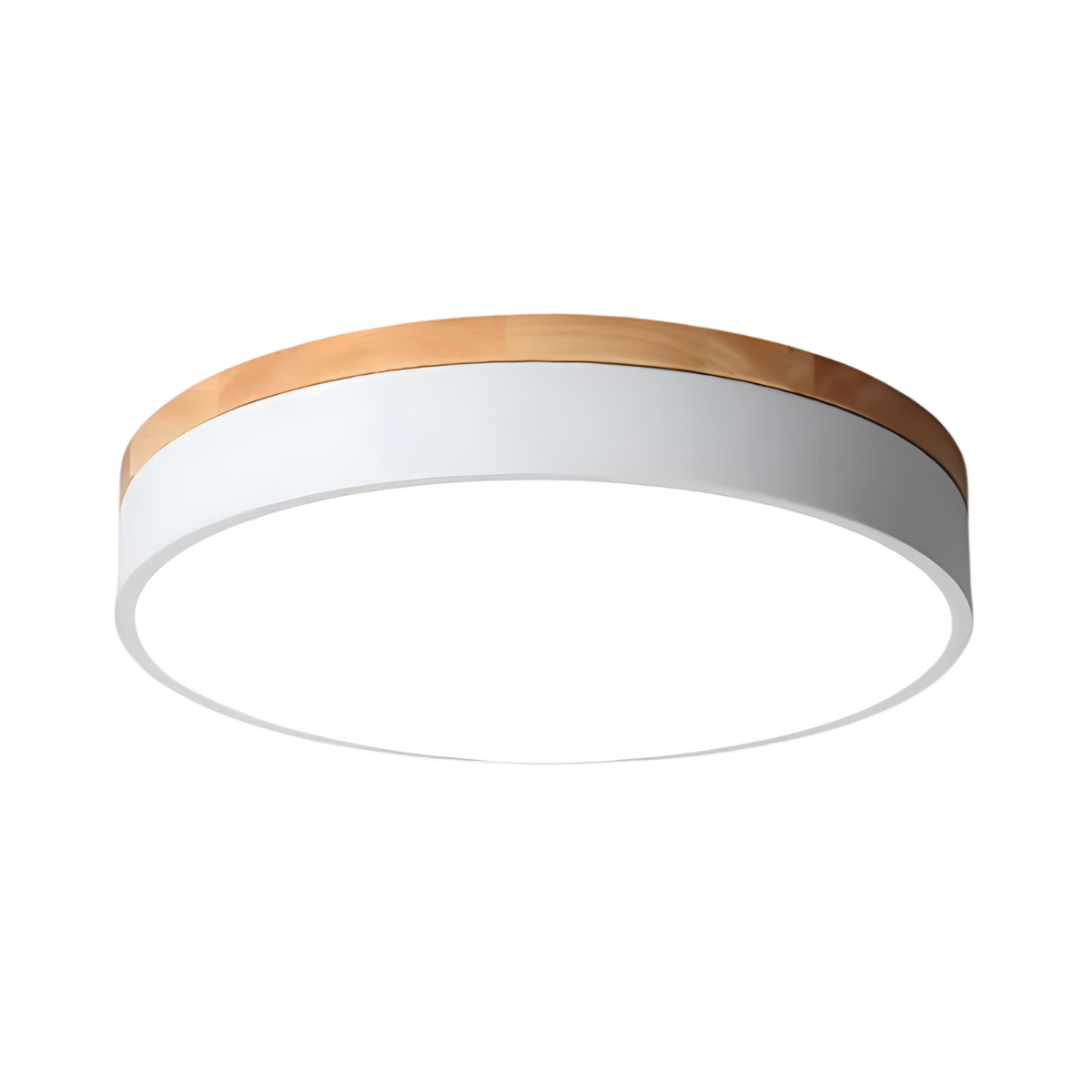 Flush Mount Ceiling Light LED Round | Diffuser, Nordic Style