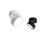 Flush mount ceiling light modern adjustable LED aluminum, black and white