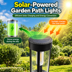 Solar Path Lights | Outdoor Garden Stake Lights | Waterproof LED Lighting