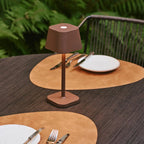Rechargeable table lamp brown metal, cordless and dimmable oval design
