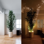 Wireless spotlight mini LED accent light, dimmable, cordless