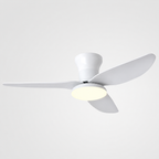 Ceiling Fan with LED Light | High Wind Power, Integrated Indoor Fan
