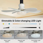2-in-1 dimmable socket fan E26 E27 with remote control, LED ceiling fan