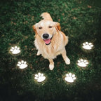 Solar paw print outdoor garden light, waterproof IP44, LED warm white glow