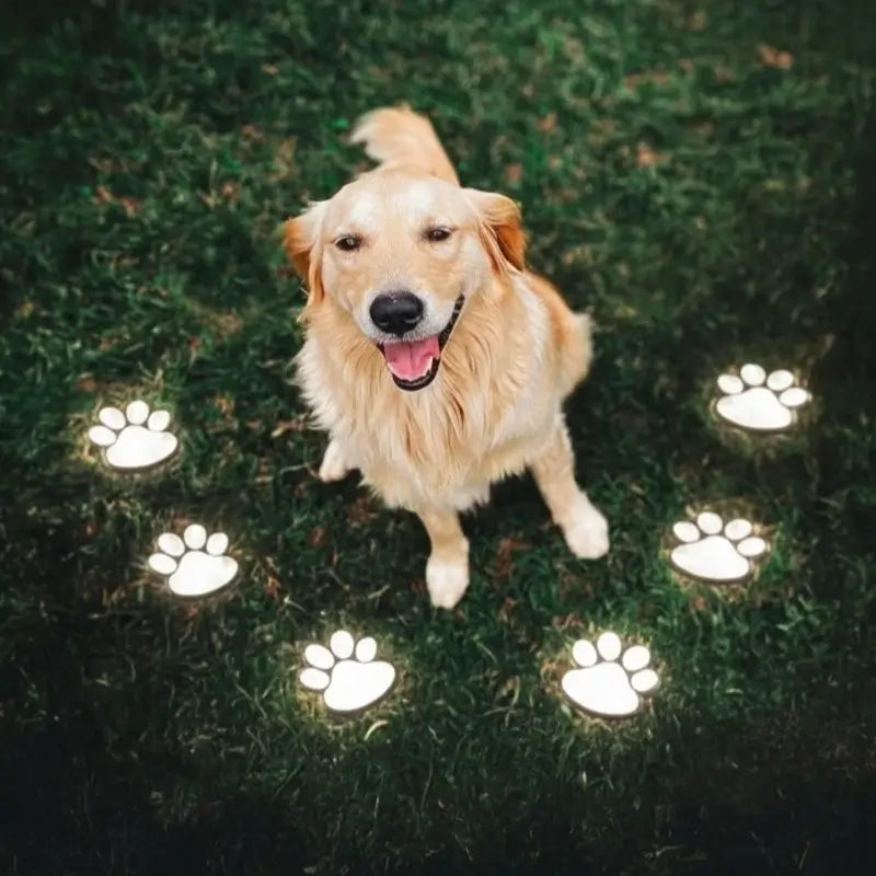 Solar paw print outdoor garden light, waterproof IP44, LED warm white glow