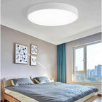 LED Ceiling Light Round Flush Mount | Iron &, Multi-Size | Galia