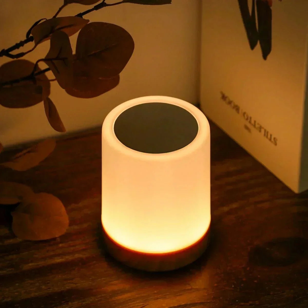 Touch Table Lamp | Rechargeable, Dimmable LED, Wood