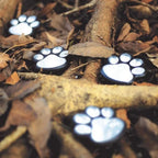 Solar paw print outdoor garden light, waterproof IP44, LED warm white glow