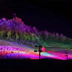 RGB LED outdoor spotlight waterproof garden landscape lighting, IP65, colour-changing