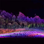 RGB LED outdoor spotlight waterproof garden landscape lighting, IP65, colour-changing