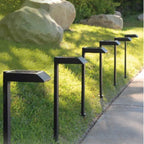 Solar garden lights LED pathway down light 30 lumen 6-pack modern stake design