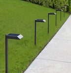 Solar garden lights LED pathway down light 30 lumen 6-pack modern stake design