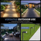 Solar garden lights LED pathway down light 30 lumen 6-pack modern stake design