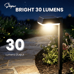 Solar garden lights LED pathway down light 30 lumen 6-pack modern stake design