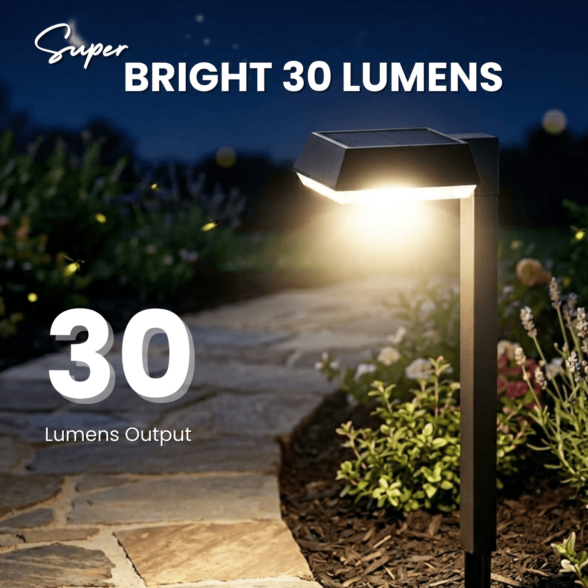 Solar garden lights LED pathway down light 30 lumen 6-pack modern stake design