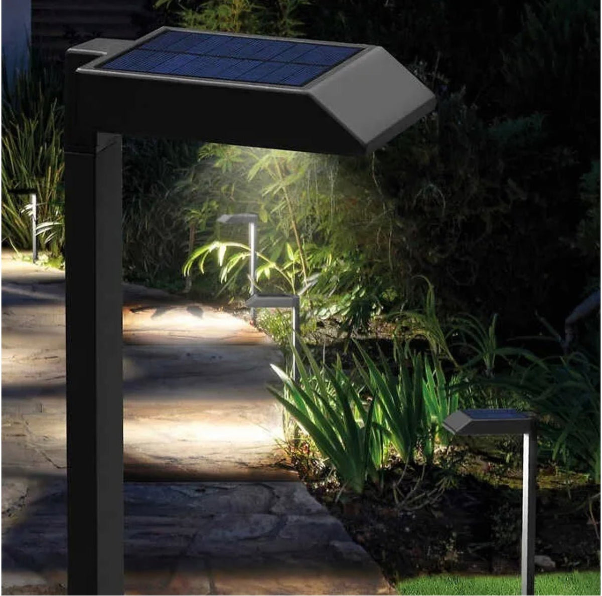 Solar garden lights LED pathway down light 30 lumen 6-pack modern stake design
